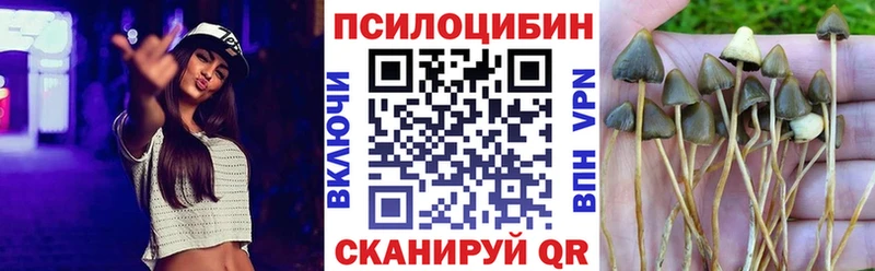 Псилоцибиновые грибы Magic Shrooms Дагестанские Огни