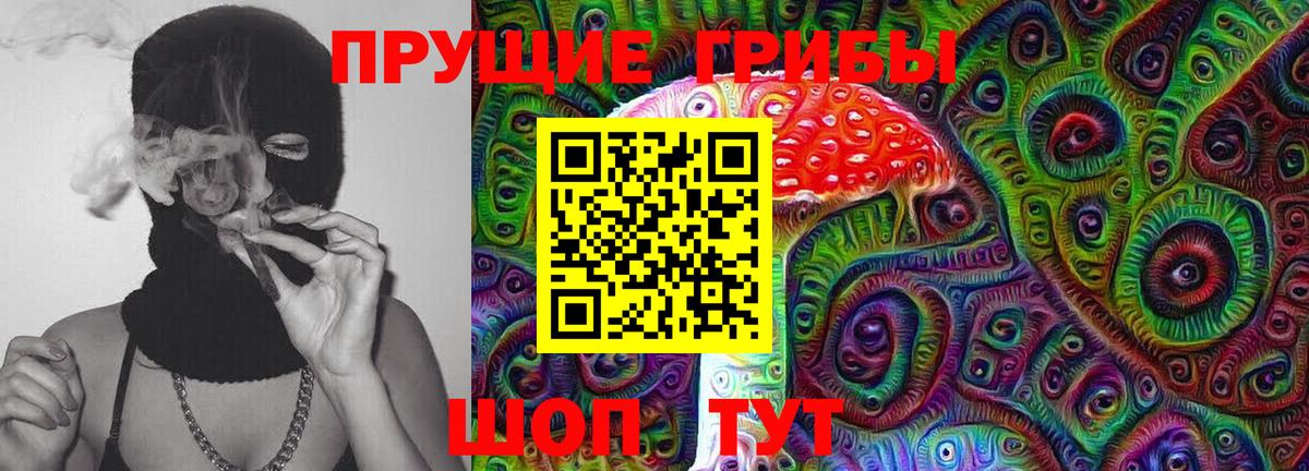 Галлюциногенные грибы Cubensis Дагестанские Огни