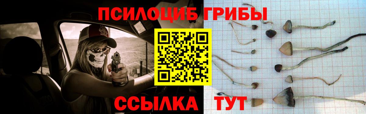 где найти   Галлюциногенные грибы мицелий  Вход с VPN  Дагестанские Огни 