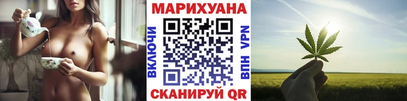 Шишки марихуана AK-47  где найти   Дагестанские Огни 
